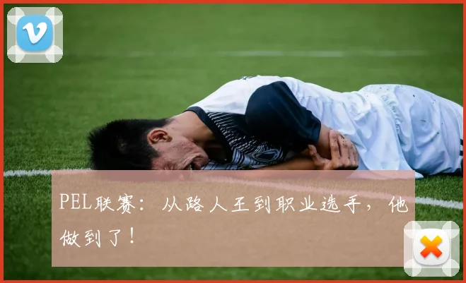 PEL联赛:从路人王到职业选手,他做到了!
